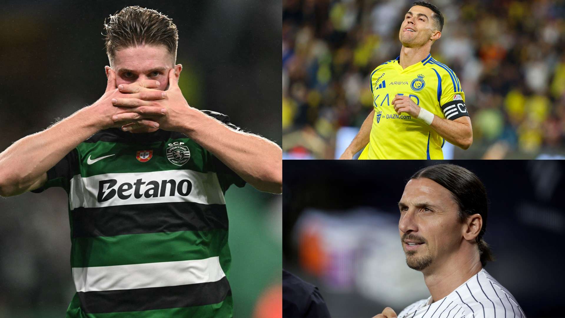 标志不仅是 标志不仅是